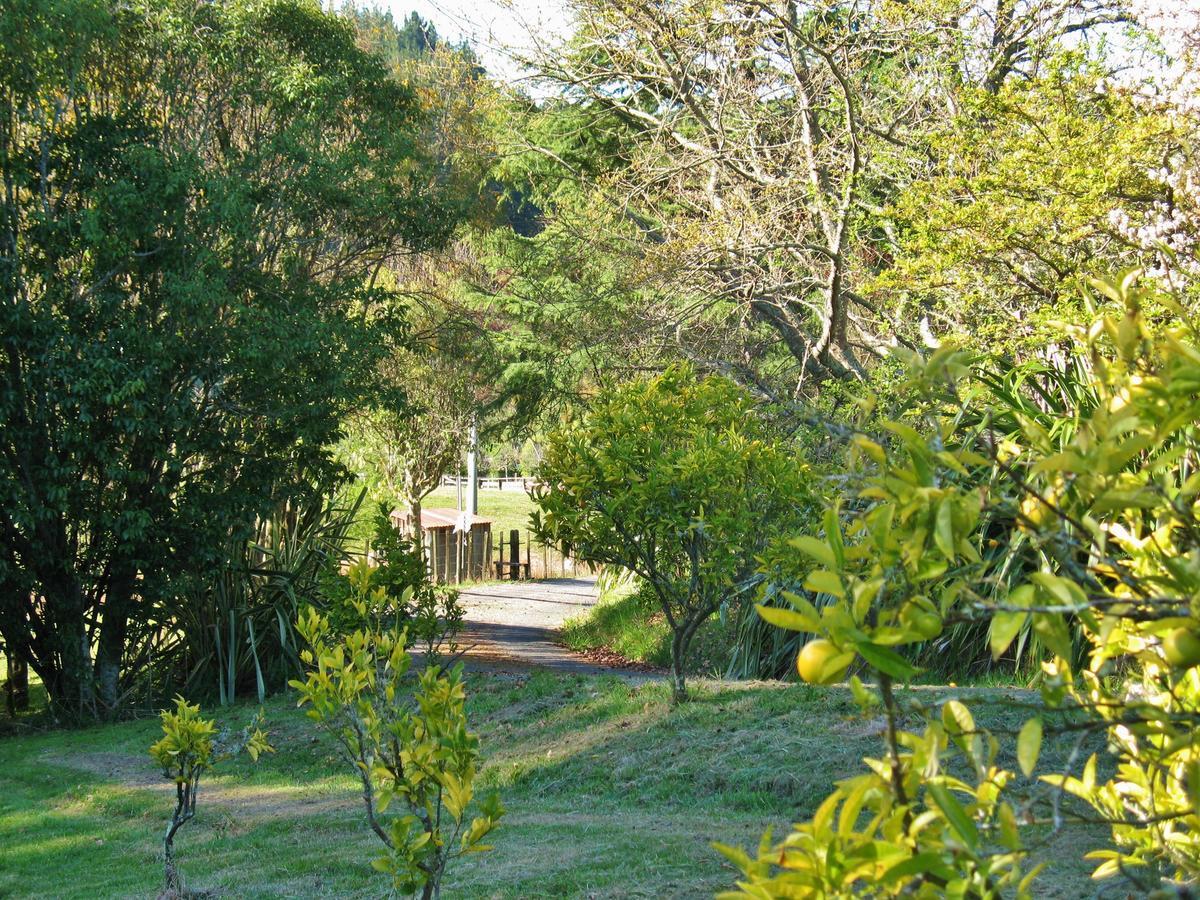 Corru Gate Villa Mapua Exteriör bild